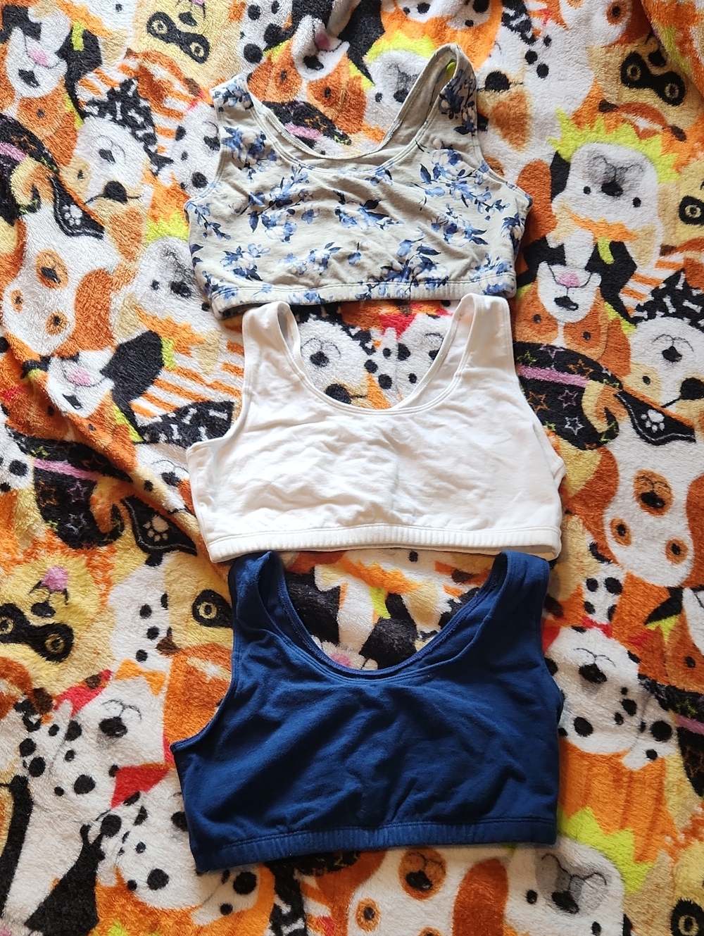 Fruit of the Loom 3-Pack Comfort Sports Bras - Blue, White, & Floral